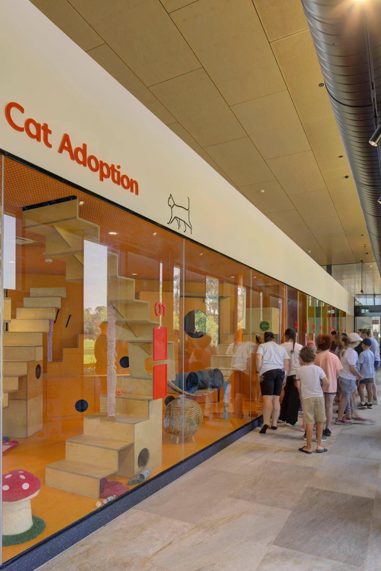 BARC, cat adoption gallery viewed from internal corridor, visitors engaging with resident cats